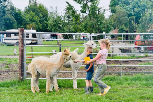 Alpaca kinderfeestje bij Het Achterste Loo