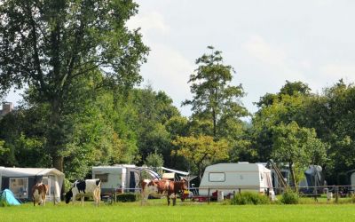 Overzicht Boerderijcamping Het Achterste Loo in kampeerseizoen