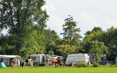 Overzicht Boerderijcamping Het Achterste Loo in kampeerseizoen