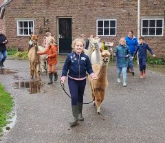 Alpaca kinderfeestje
