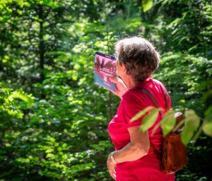 Genieten van de rijke natuur in Hilvarenbeek