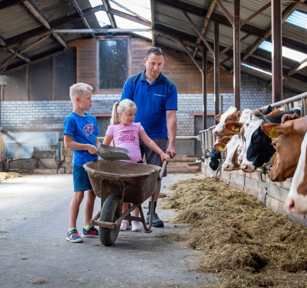 Rondleiding in de stal van onze boerderij
