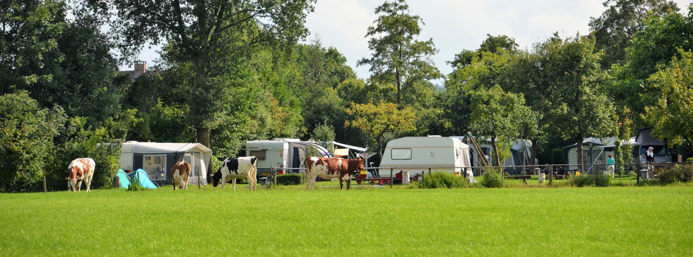 Minicamping Hilvarenbeek