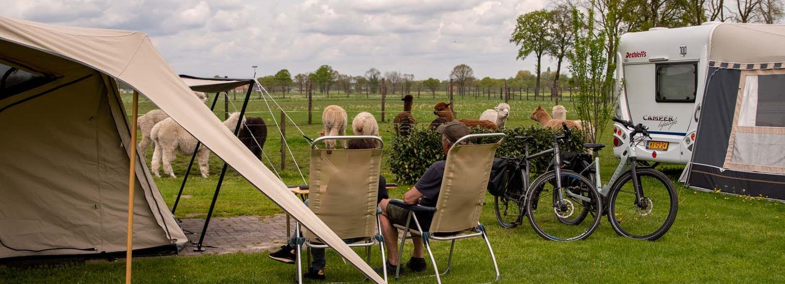 Bijgesneden foto camping