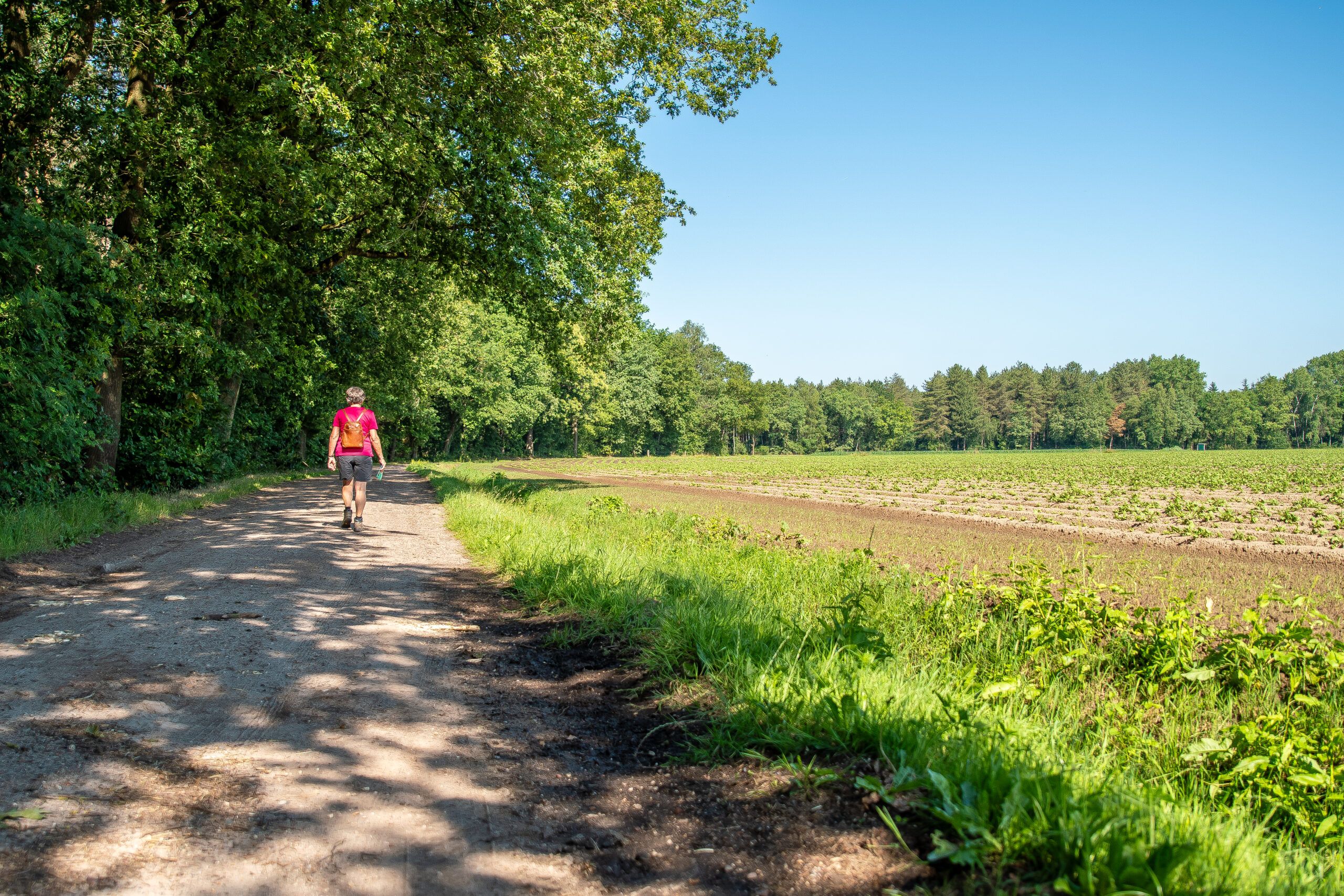 Minicamping in het groene Hilvarenbeek