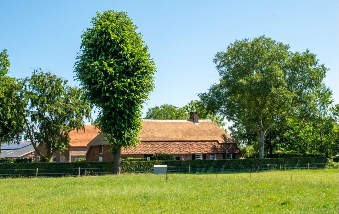 Kerk Hilvarenbeek